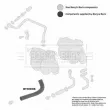 Gaine de suralimentation BORG & BECK BTH1008 - Visuel 3