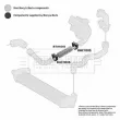 Gaine de suralimentation BORG & BECK BTH1010 - Visuel 3