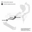 Gaine de suralimentation BORG & BECK BTH1011 - Visuel 3