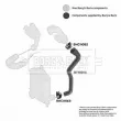 Gaine de suralimentation BORG & BECK BTH1014 - Visuel 3