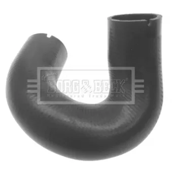 Gaine de suralimentation BORG & BECK BTH1021