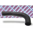 Gaine de suralimentation BORG & BECK BTH1025 - Visuel 2