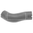 Gaine de suralimentation BORG & BECK BTH1031 - Visuel 1