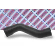 Gaine de suralimentation BORG & BECK BTH1034 - Visuel 2