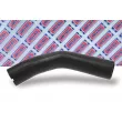 Gaine de suralimentation BORG & BECK BTH1037 - Visuel 2