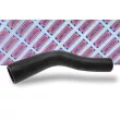 Gaine de suralimentation BORG & BECK BTH1047 - Visuel 2