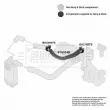 Gaine de suralimentation BORG & BECK BTH1048 - Visuel 3