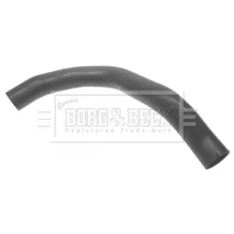 Gaine de suralimentation BORG & BECK BTH1049