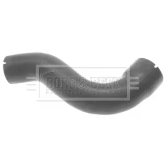Gaine de suralimentation BORG & BECK BTH1055
