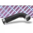 Gaine de suralimentation BORG & BECK BTH1065 - Visuel 2