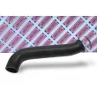 Gaine de suralimentation BORG & BECK BTH1071 - Visuel 2