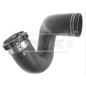 Gaine de suralimentation BORG & BECK BTH1074