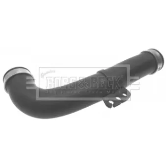 Gaine de suralimentation BORG & BECK BTH1077