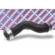 Gaine de suralimentation BORG & BECK BTH1078 - Visuel 2