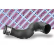 Gaine de suralimentation BORG & BECK BTH1088 - Visuel 2