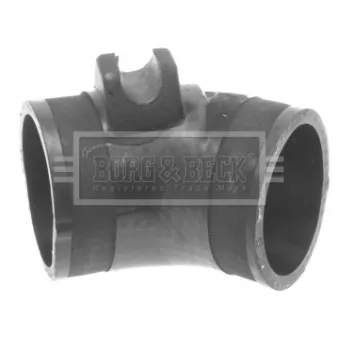 Gaine de suralimentation BORG & BECK BTH1097