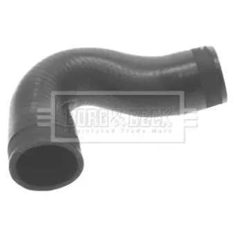 Gaine de suralimentation BORG & BECK BTH1098