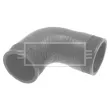 Gaine de suralimentation BORG & BECK BTH1099 - Visuel 1