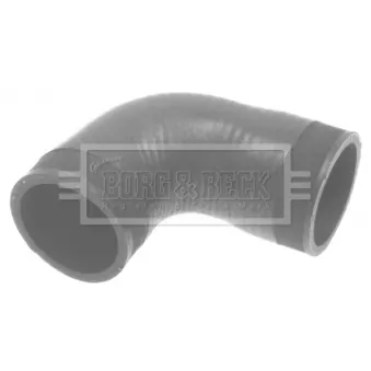 Gaine de suralimentation BORG & BECK BTH1099
