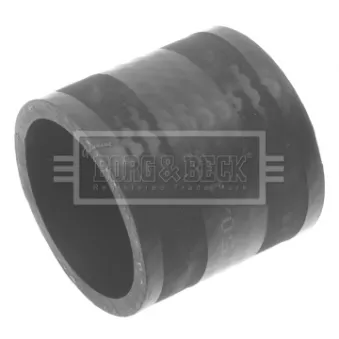 Gaine de suralimentation BORG & BECK BTH1101