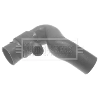 Gaine de suralimentation BORG & BECK BTH1108