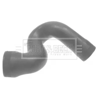 Gaine de suralimentation BORG & BECK BTH1109