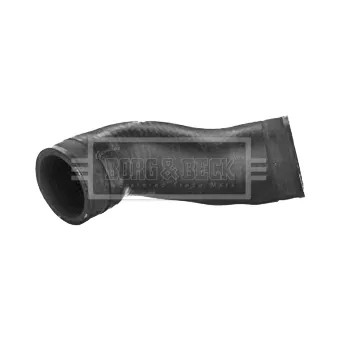 Gaine de suralimentation BORG & BECK BTH1111