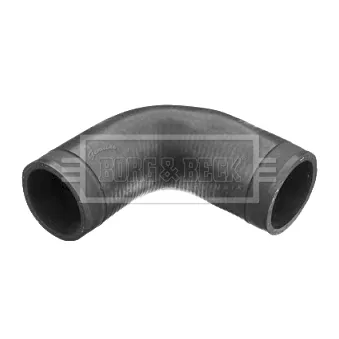 Gaine de suralimentation BORG & BECK BTH1113