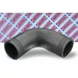 Gaine de suralimentation BORG & BECK BTH1113 - Visuel 2