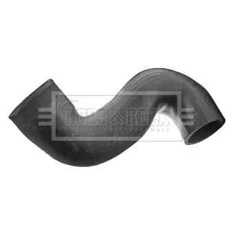 Gaine de suralimentation BORG & BECK BTH1118
