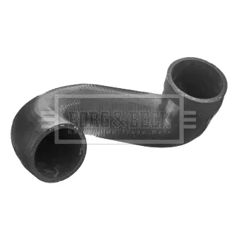 Gaine de suralimentation BORG & BECK BTH1119