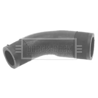 Gaine de suralimentation BORG & BECK BTH1120