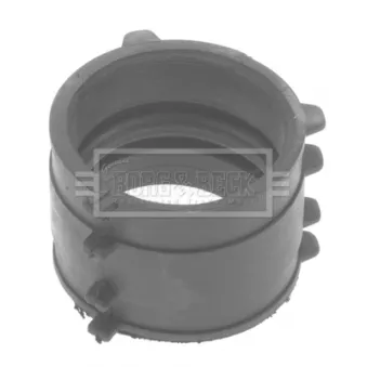 Gaine de suralimentation BORG & BECK BTH1123
