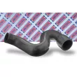 Gaine de suralimentation BORG & BECK BTH1124 - Visuel 2