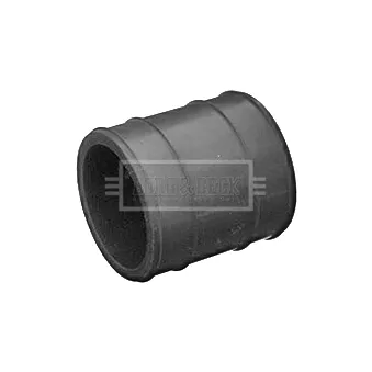 Gaine de suralimentation BORG & BECK BTH1130
