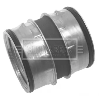Gaine de suralimentation BORG & BECK BTH1134