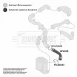 Gaine de suralimentation BORG & BECK BTH1135 - Visuel 3