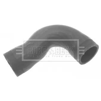 Gaine de suralimentation BORG & BECK BTH1141