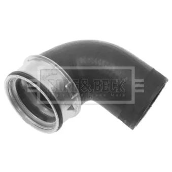 Gaine de suralimentation BORG & BECK BTH1161