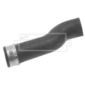 Gaine de suralimentation BORG & BECK BTH1163