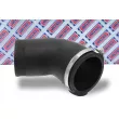 Gaine de suralimentation BORG & BECK BTH1165 - Visuel 2