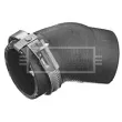 Gaine de suralimentation BORG & BECK BTH1166 - Visuel 1