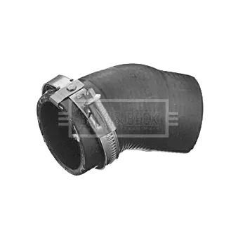 Gaine de suralimentation BORG & BECK BTH1166