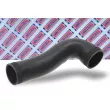 Gaine de suralimentation BORG & BECK BTH1167 - Visuel 1