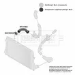 Gaine de suralimentation BORG & BECK BTH1168 - Visuel 3