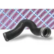 Gaine de suralimentation BORG & BECK BTH1171 - Visuel 2