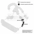 Gaine de suralimentation BORG & BECK BTH1174 - Visuel 3