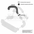 Gaine de suralimentation BORG & BECK BTH1175 - Visuel 3