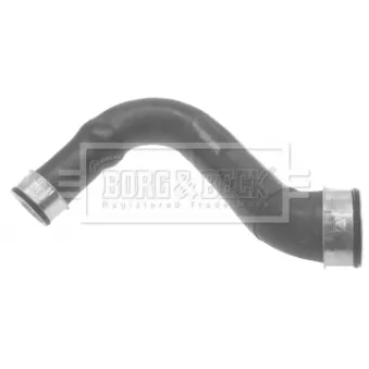Gaine de suralimentation BORG & BECK BTH1182