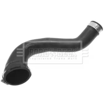 Gaine de suralimentation BORG & BECK BTH1184
